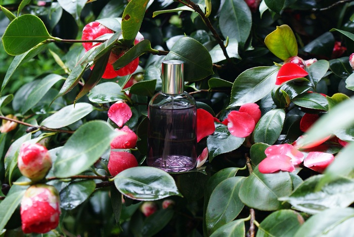 diy camelia face hair mist