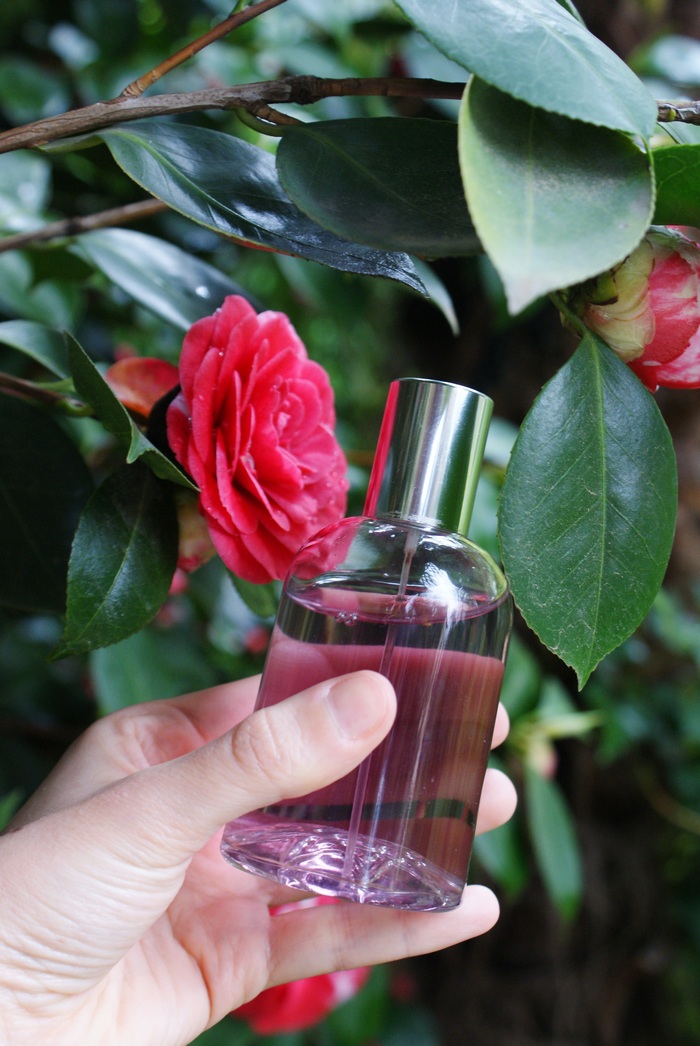 acqua camelia spray faidate diy