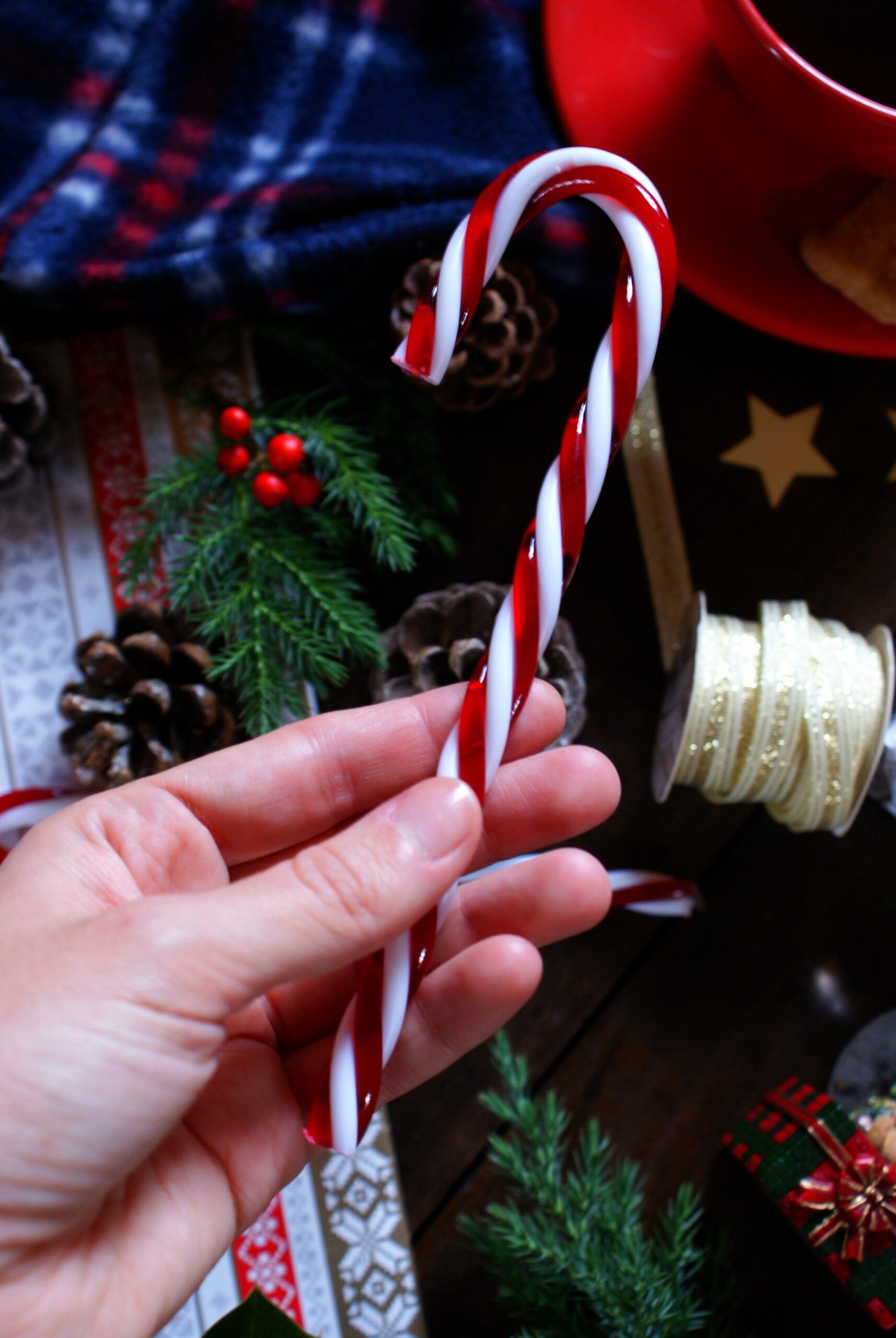christmas gift guide francinesplaceblog #fpblogxmas