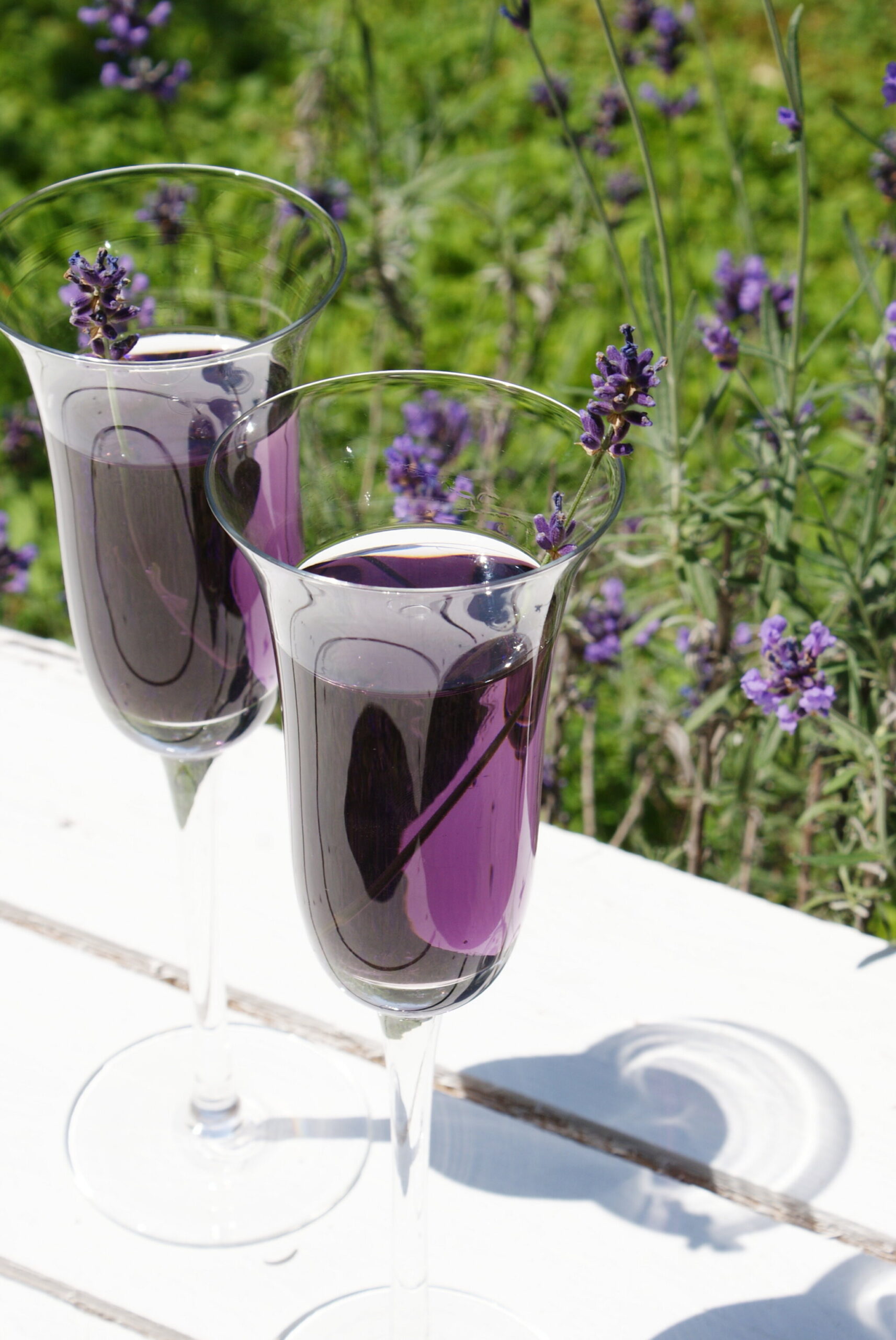 lavande cocktail boisson lavender drink