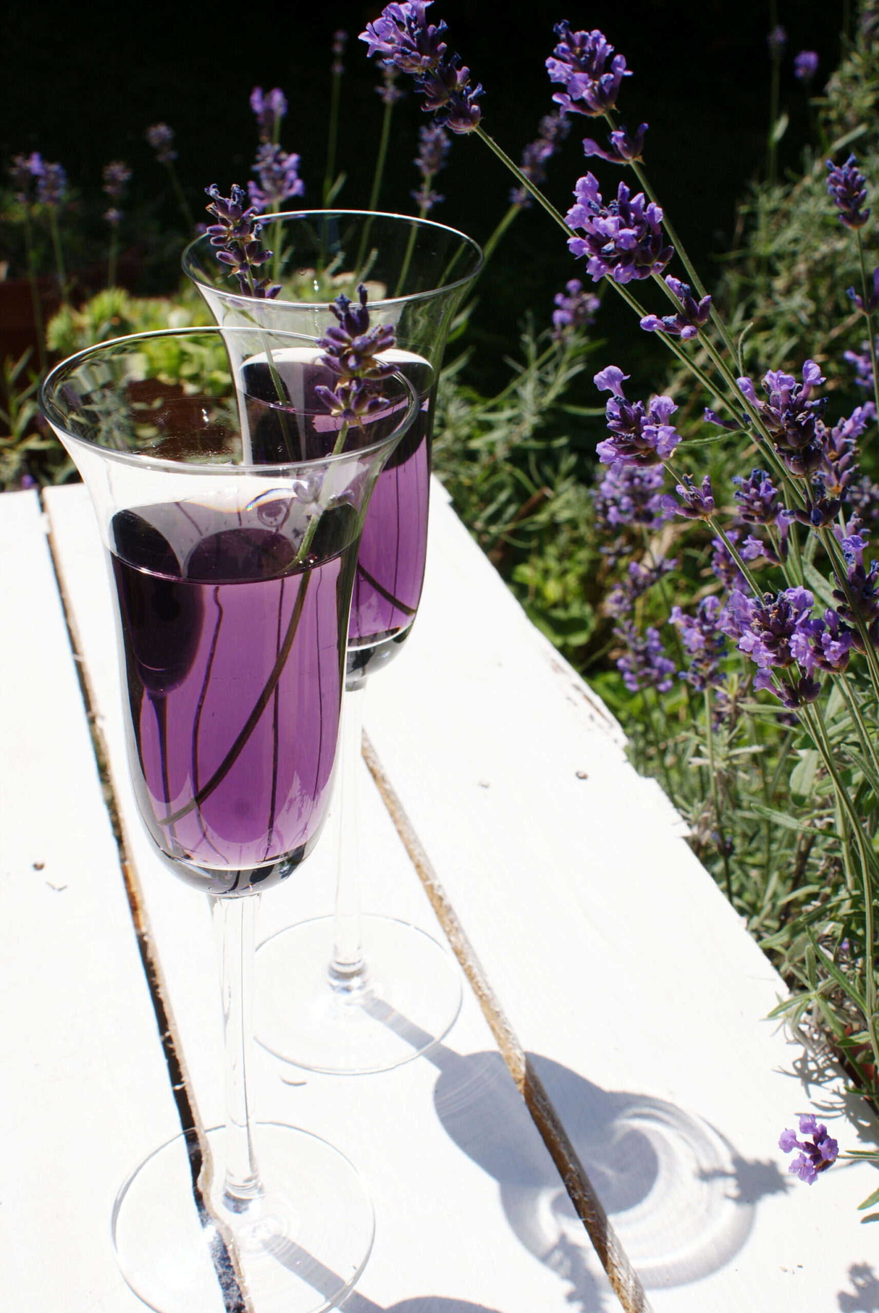 provence lavender drink prosecco recipe