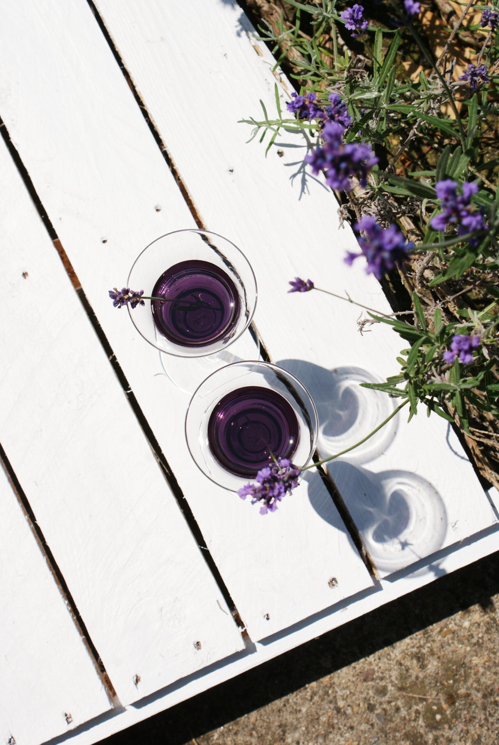 lavender drink cocktail ideas recipes