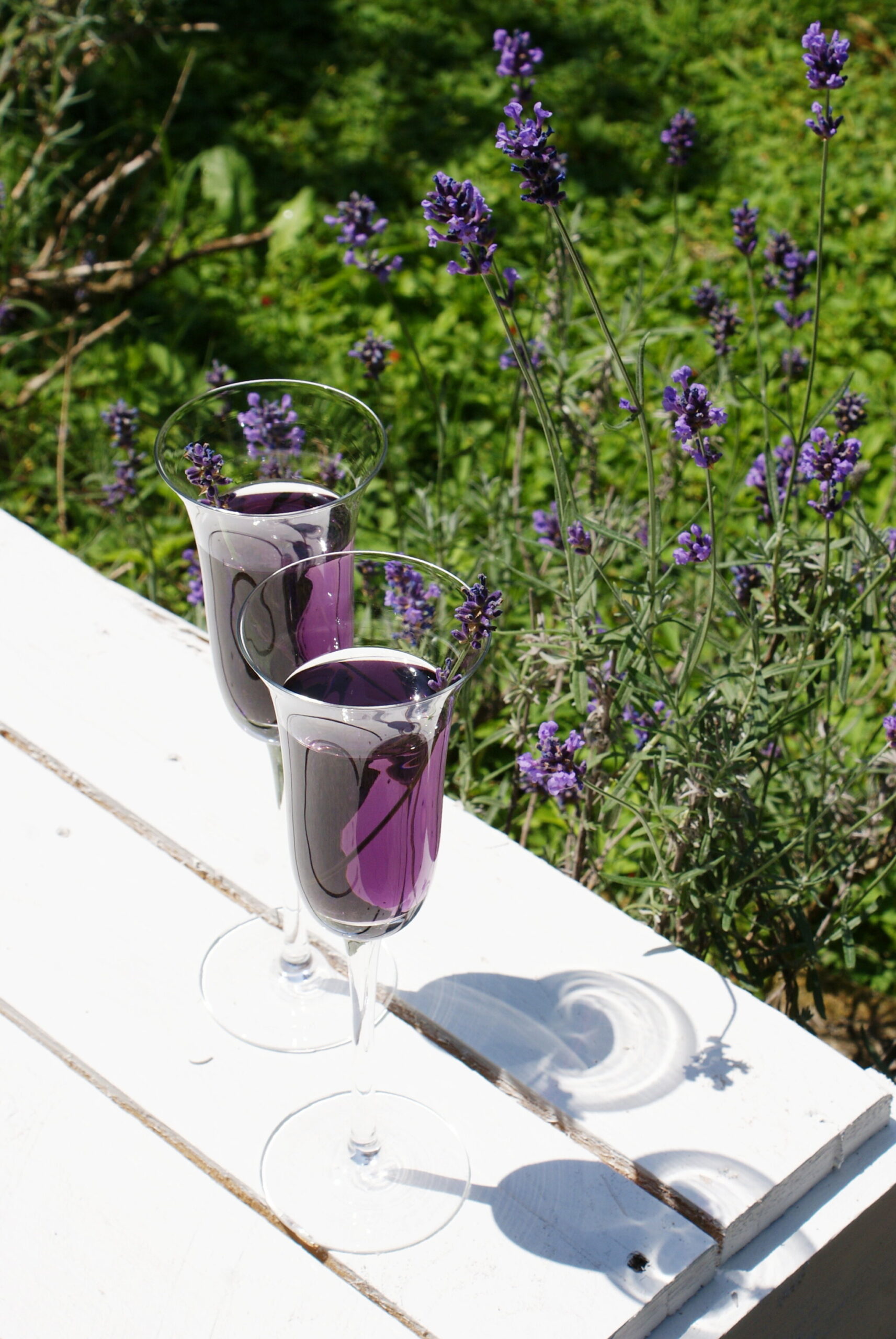 lavender prosecco cocktail recipe drink francinesplaceblog