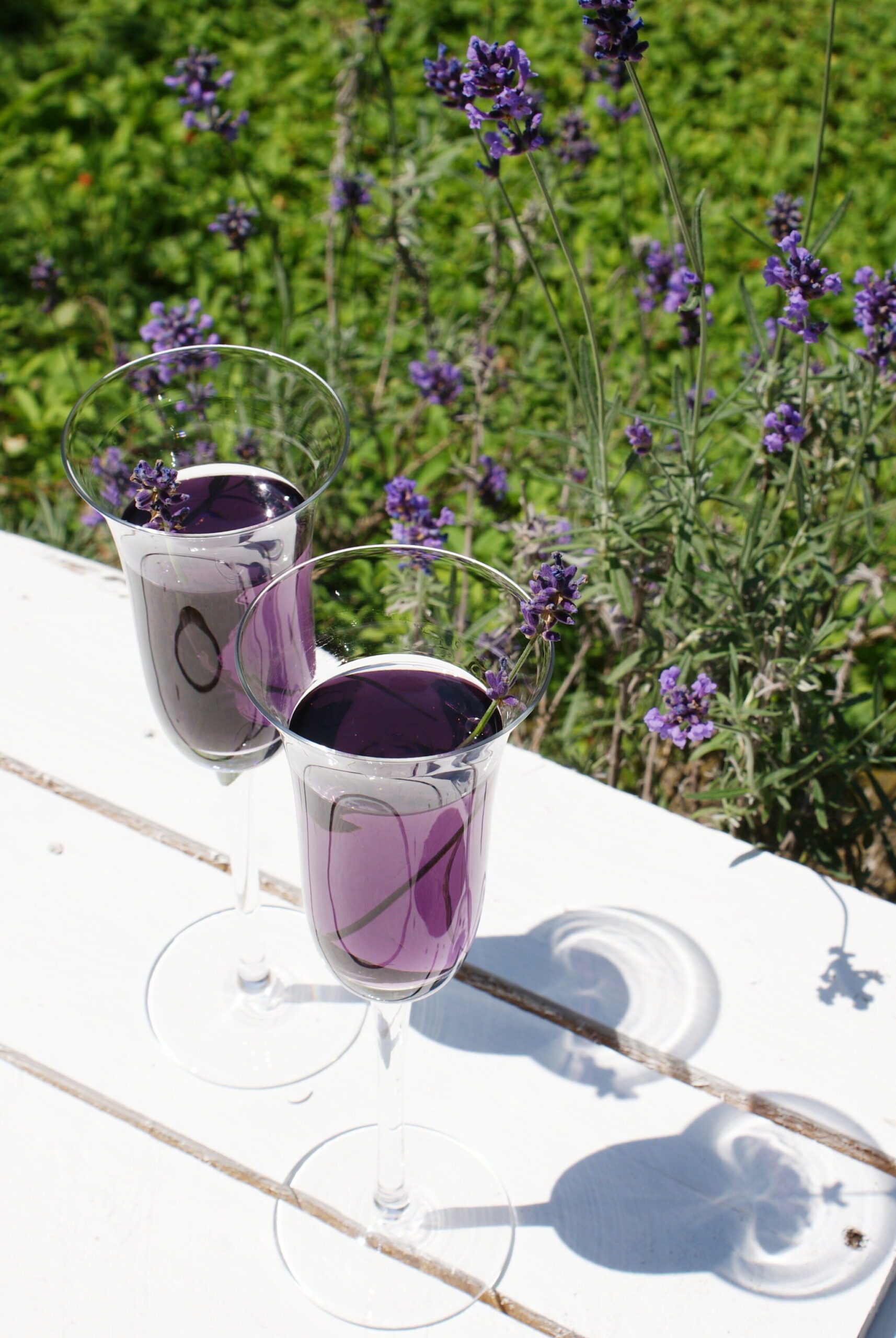 lavender summer prosecco cocktail recipe