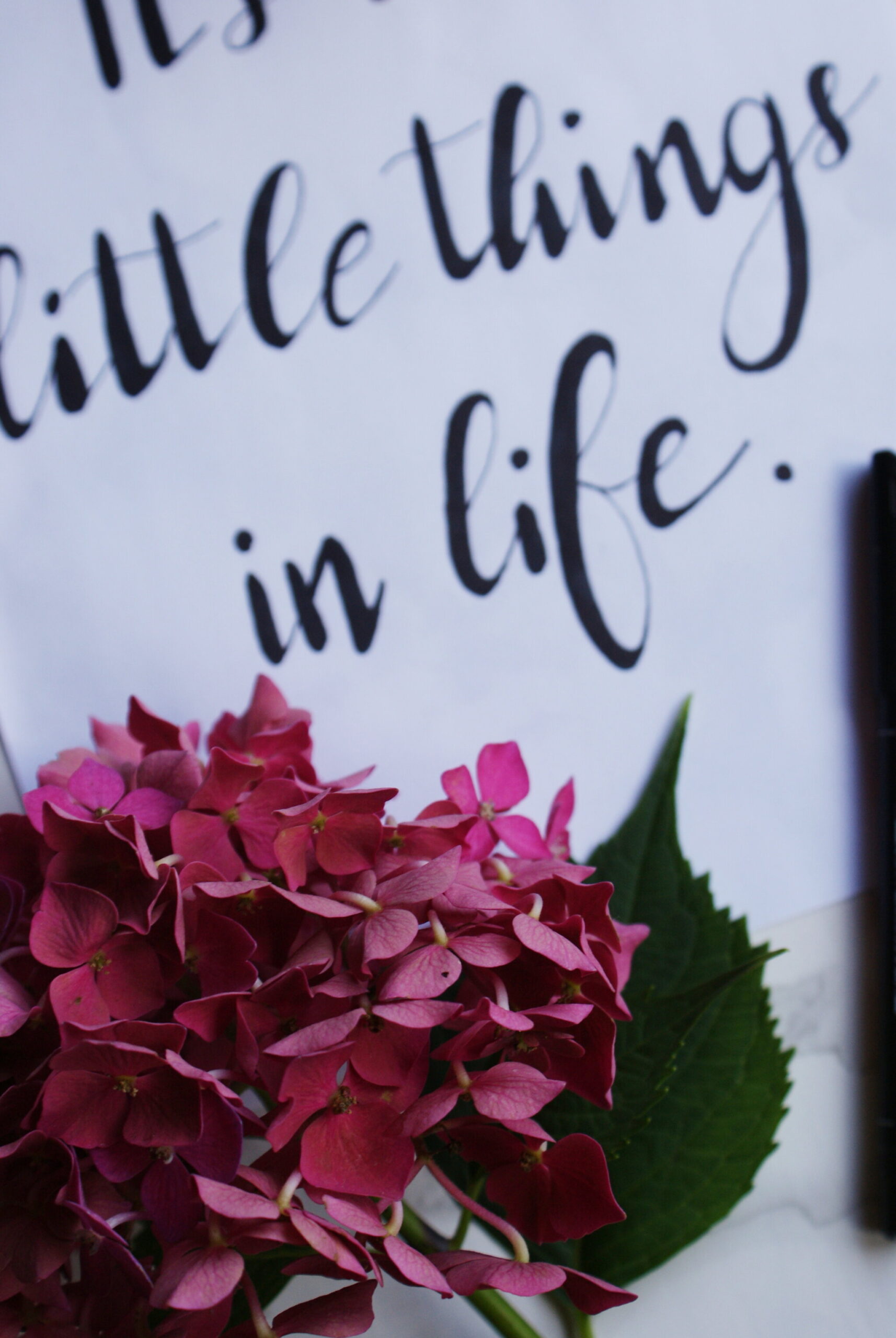 one day hand lettering guide course beginners