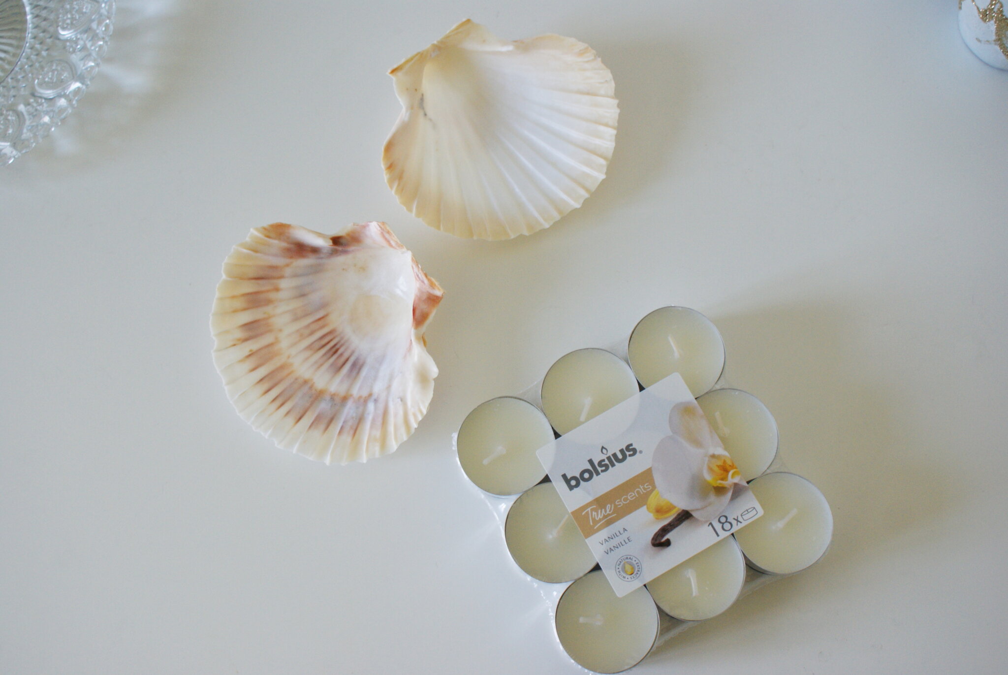 diy sea shell candles ultimate easy quick tutorial how make home decor aesthetic candele conchiglia conchiglie faidate casa come fare