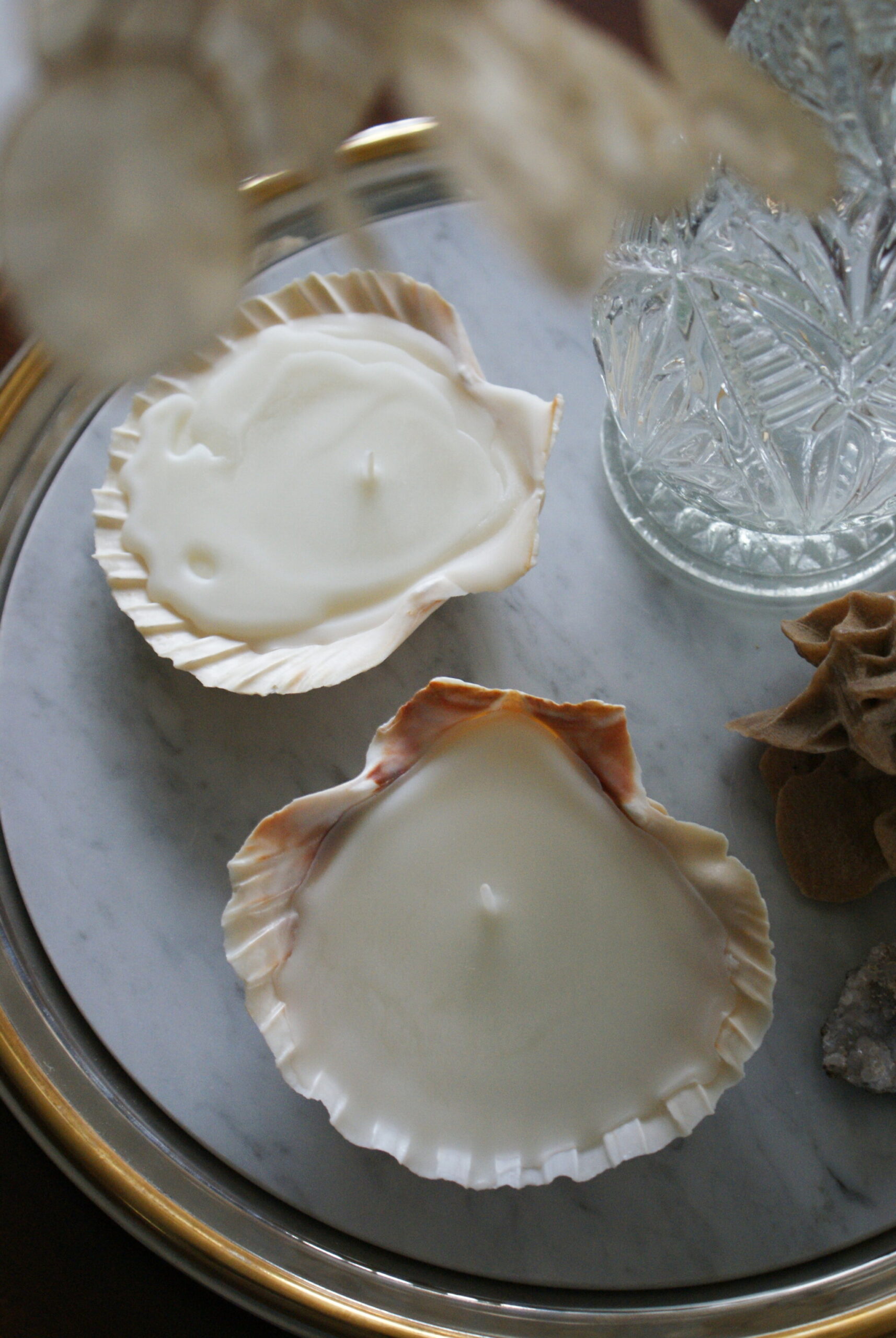 diy sea shell candles ultimate easy quick tutorial how make home decor aesthetic candele conchiglia conchiglie faidate casa come fare francinesplaceblog