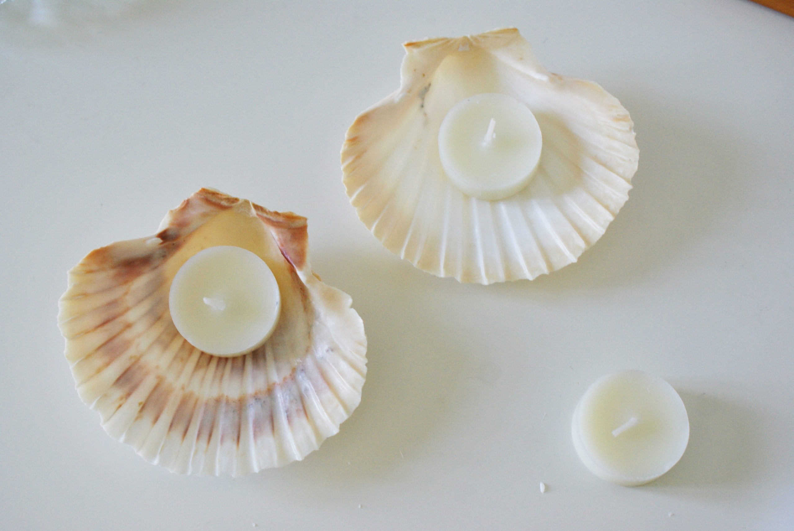 diy sea shell candles ultimate easy quick tutorial how make home decor aesthetic candele conchiglia conchiglie fai da te casa come fare 