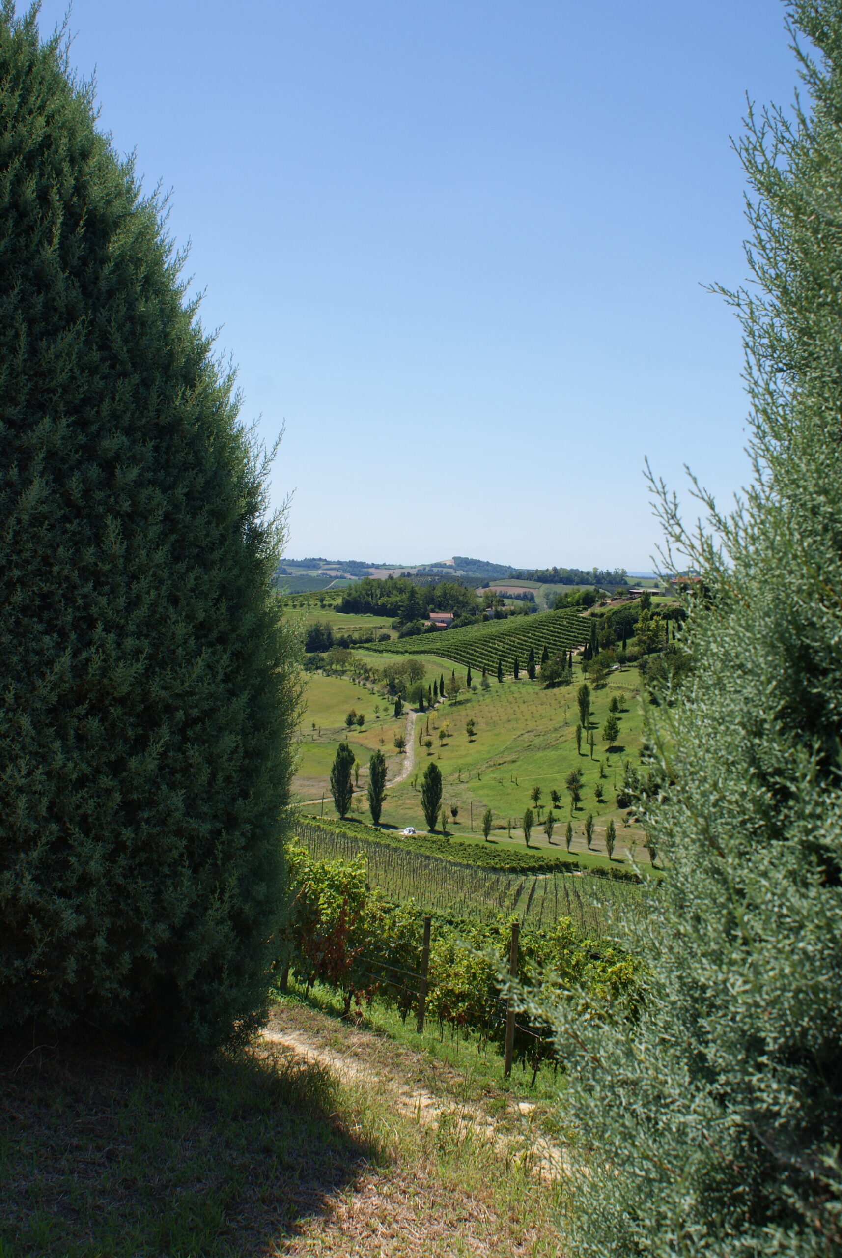 monferrato travel guide piemonte italy piedmont tips eat see do guida viaggio vedere mangiare fare turismo tourism trip francinesplaceblog grazzano badoglio
