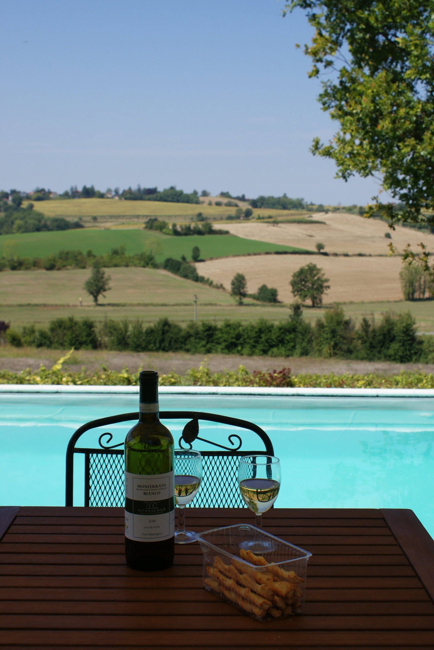 monferrato travel guide piemonte italy piedmont tips eat see do guida viaggio vedere mangiare fare turismo tourism trip francinesplaceblog vignale