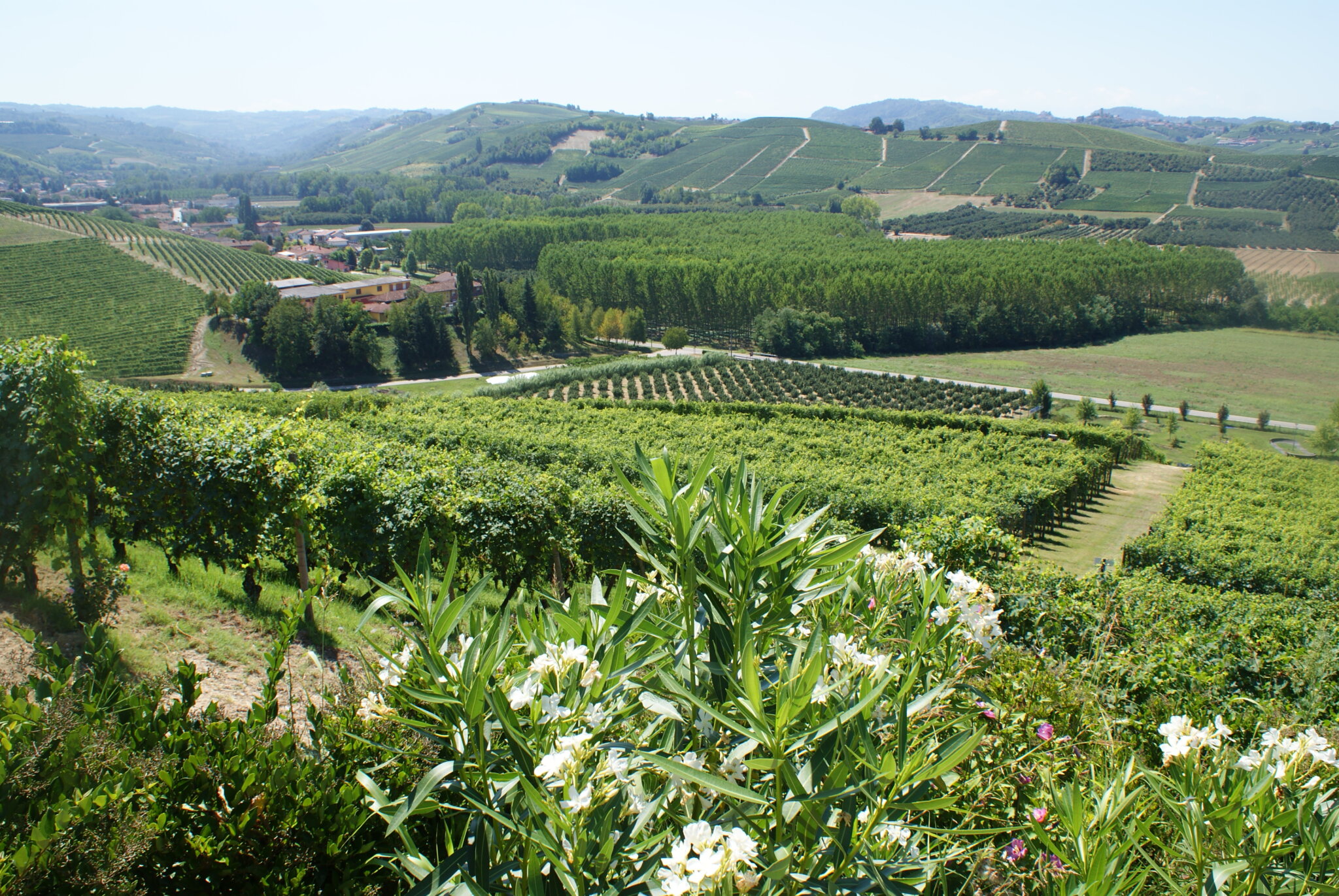 monferrato travel guide piemonte italy piedmont tips eat see do guida viaggio vedere mangiare fare turismo tourism trip francinesplaceblog grinzane cavour langhe